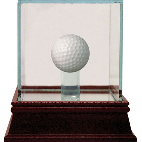 Steiner Sports Glass Golf Ball Display Case