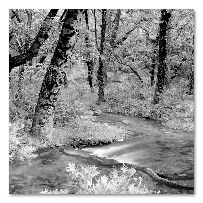 Yosemite Canvas Wall Art by Preston, Grey, 18X18