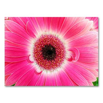 Pink Gerber 18'' x 24'' Canvas Wall Art by Kurt Shaffer