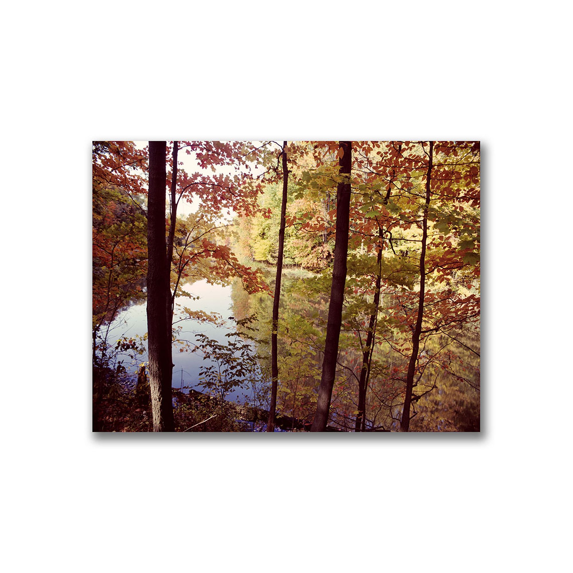 A Secret Pond Canvas Wall Art by Kurt Shaffer, Green