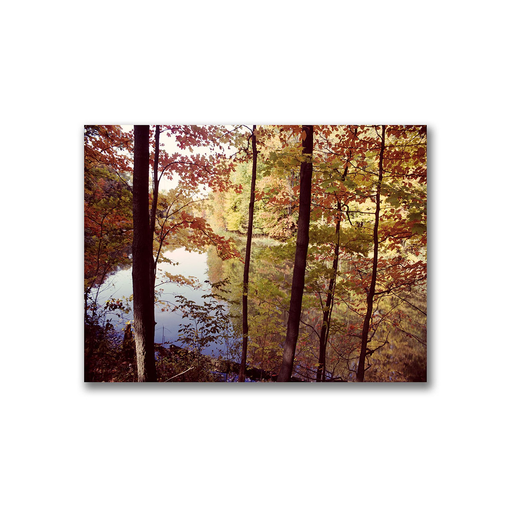 A Secret Pond Canvas Wall Art by Kurt Shaffer, Green
