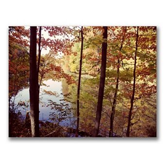 A Secret Pond 18" x 24" Canvas Wall Art by Kurt Shaffer
