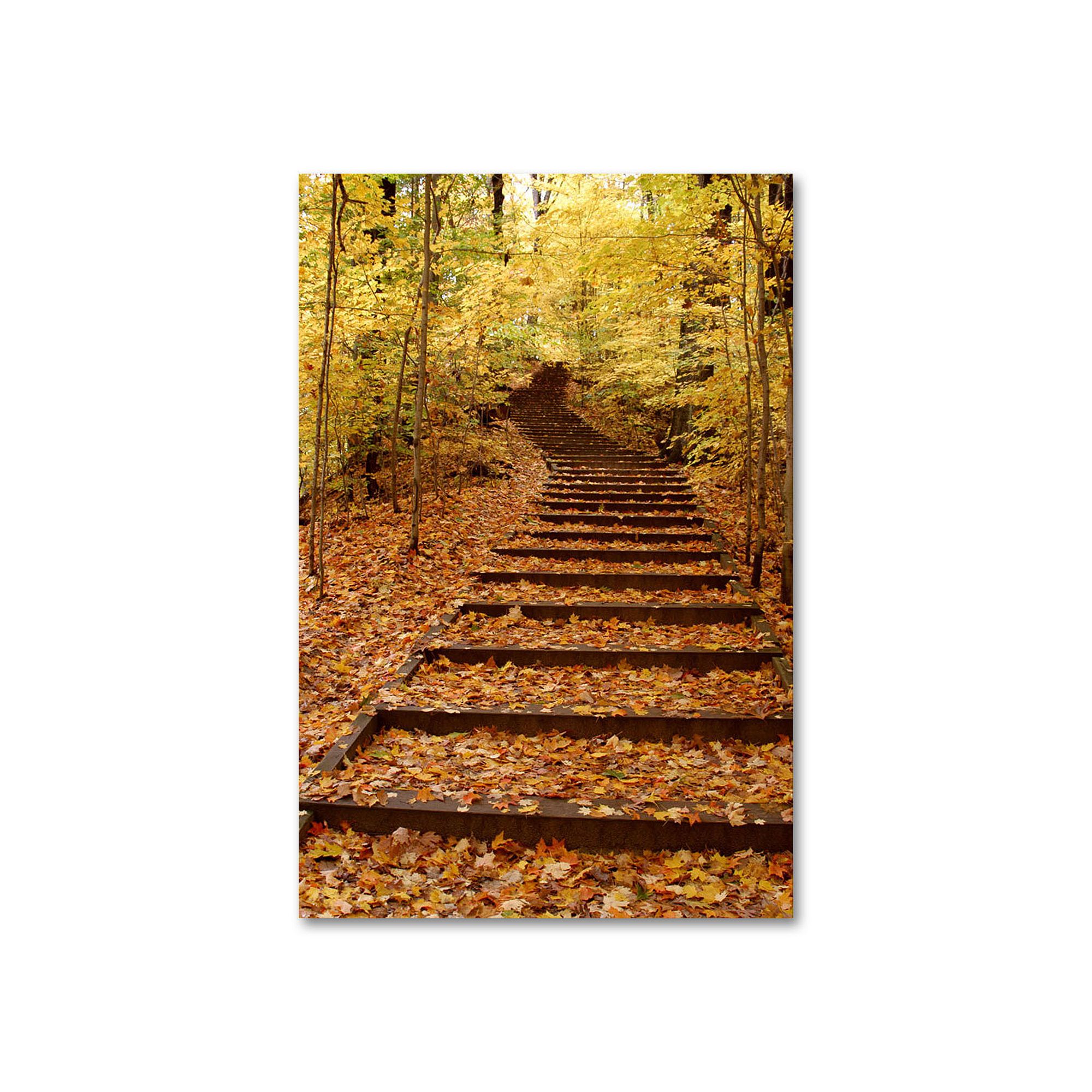 Fall Stairway 24 x 18 Canvas Wall Art by Kurt Shaffer, Yellow