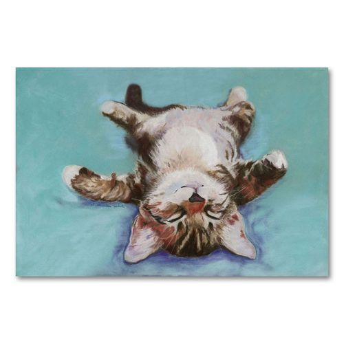 Little Napper Canvas Wall Art by Pat Saunders-White