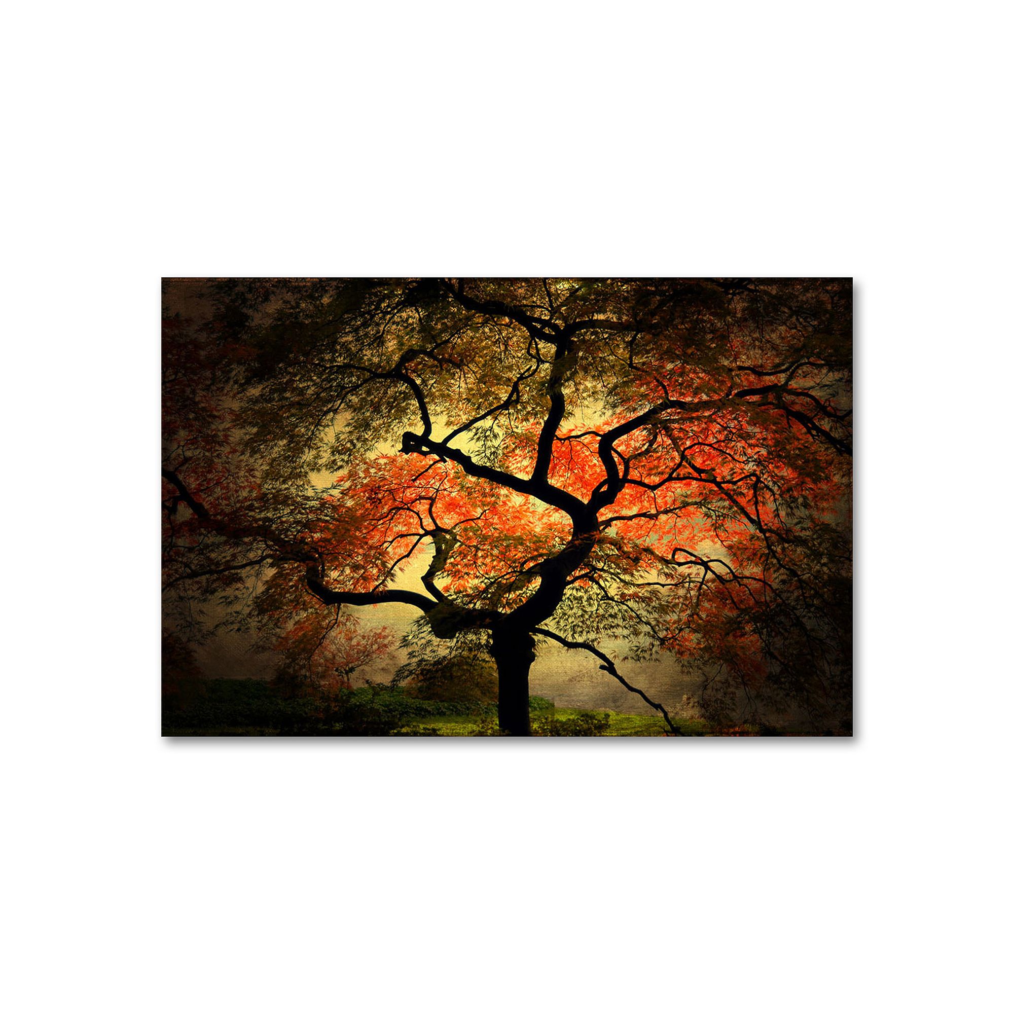 Japanese 30 x 47 Canvas Wall Art by Philippe Sainte-Laudy, Orange