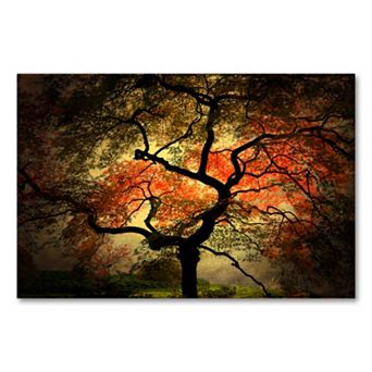 Japanese 30" x 47" Canvas Wall Art by Philippe Sainte-Laudy