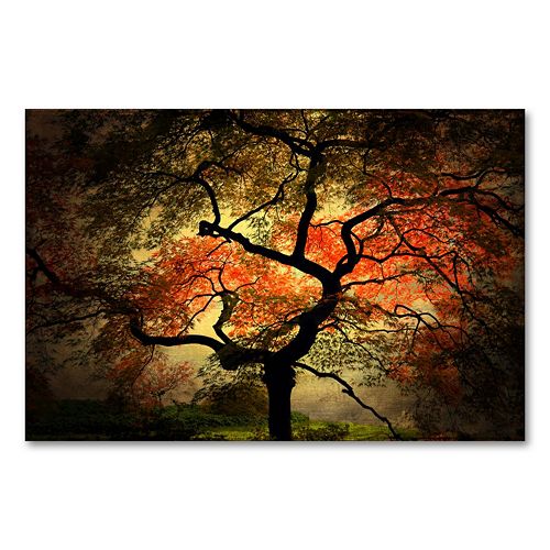 Japanese 30 x 47 Canvas Wall Art by Philippe Sainte-Laudy