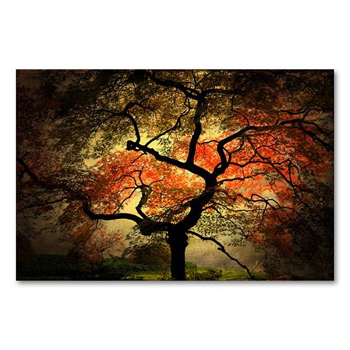 Japanese Framed Canvas Wall Art by Philippe Sainte-Laudy