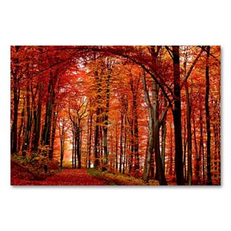 The Red Way 14" x 19" Canvas Wall Art by Philippe Sainte-Laudy