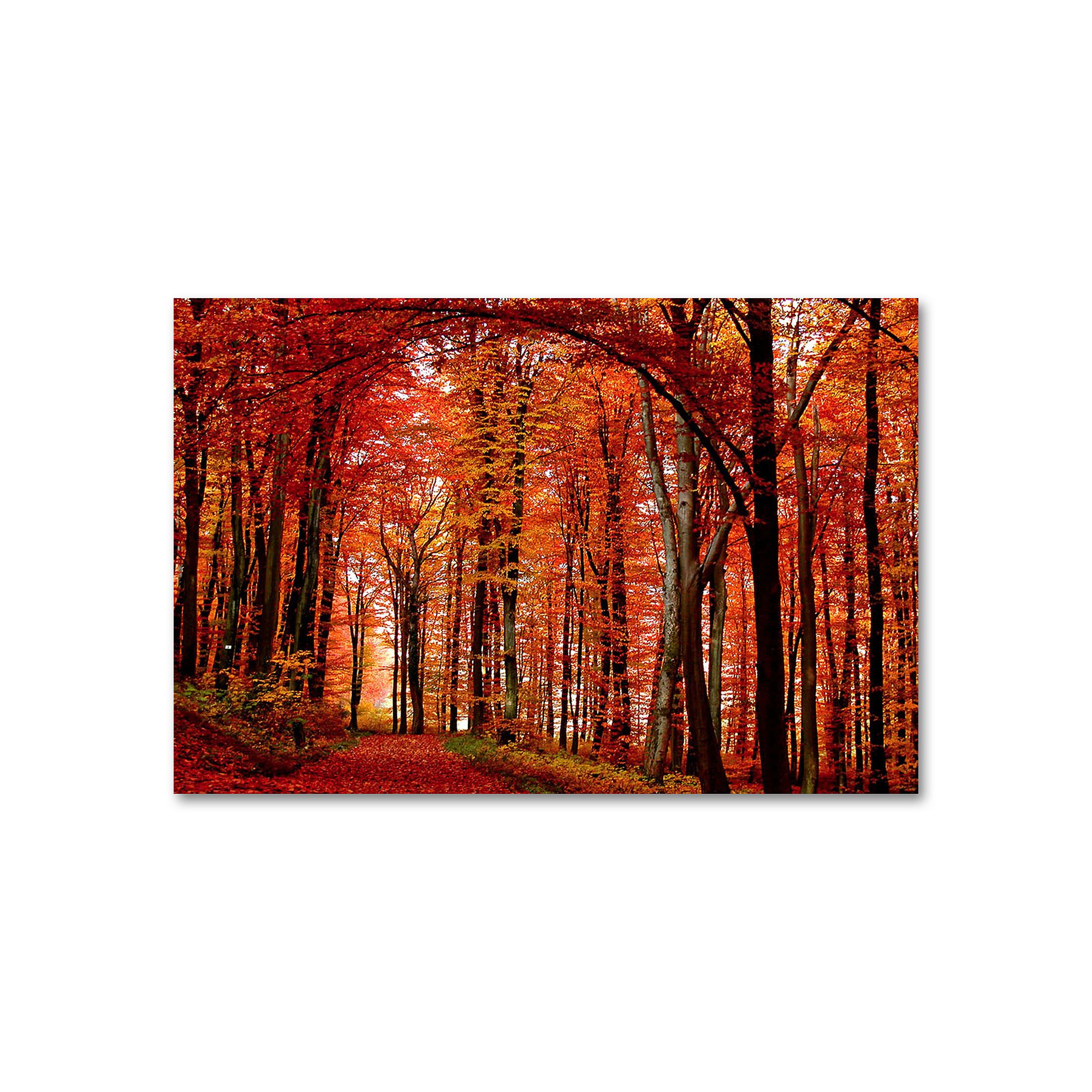 The Red Way 22 x 32 Canvas Wall Art by Philippe Sainte-Laudy