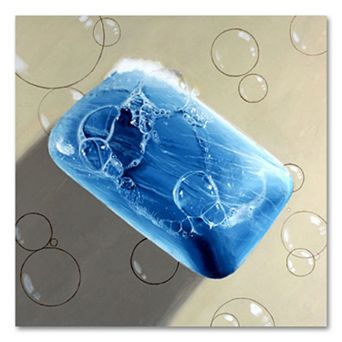 "Bar Soap" 14" x 14" Canvas Wall Art by Roderick Stevens