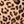 Natural Cheetah