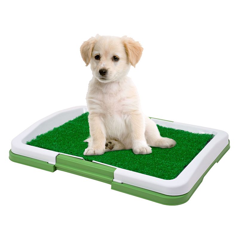 PAW Puppy Potty Trainer Indoor Restroom for Pets, Multicolor
