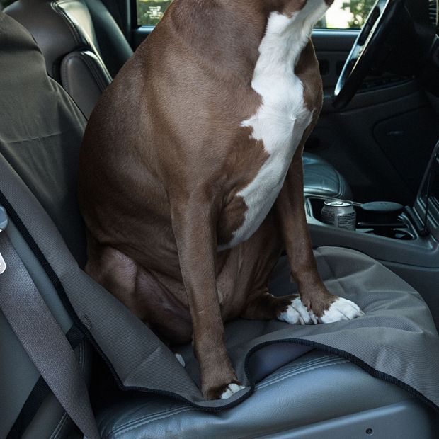 Majestic pet 2024 seat cover