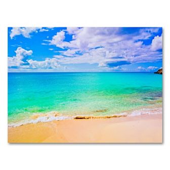 35'' x 47'' ''Maho Beach'' Canvas Wall Art by Preston