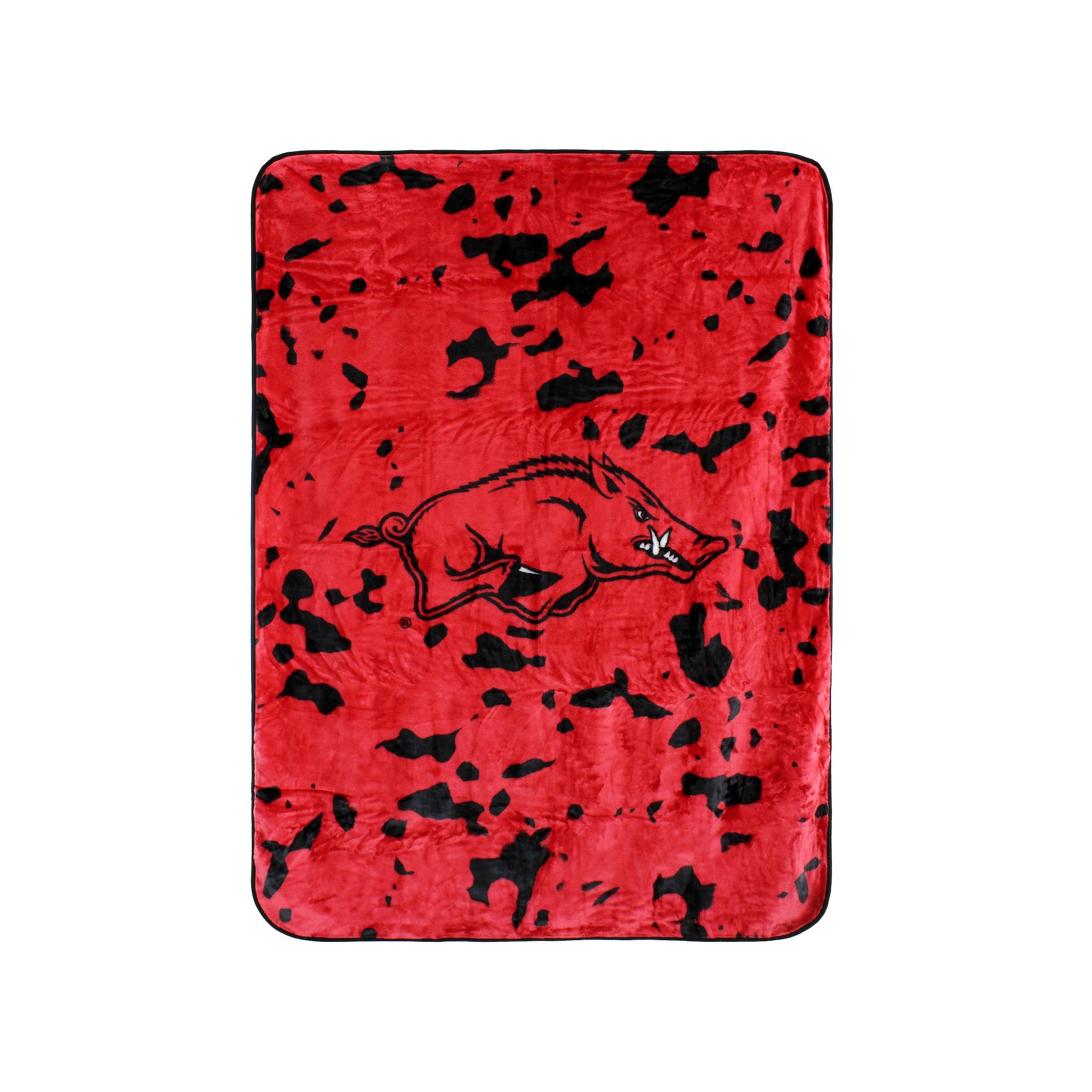 College Covers Arkansas Razorbacks Raschel Throw Blanket, Team