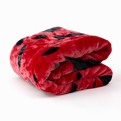 College Covers Arkansas Razorbacks Raschel Throw Blanket