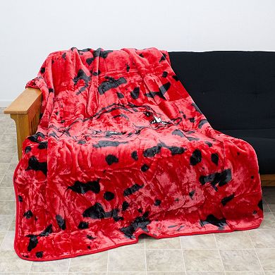 College Covers Arkansas Razorbacks Raschel Throw Blanket