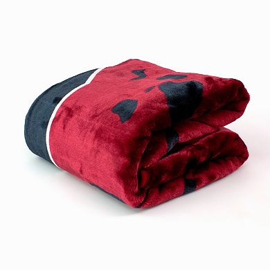 College Covers South Carolina Gamecocks Raschel Throw Blanket