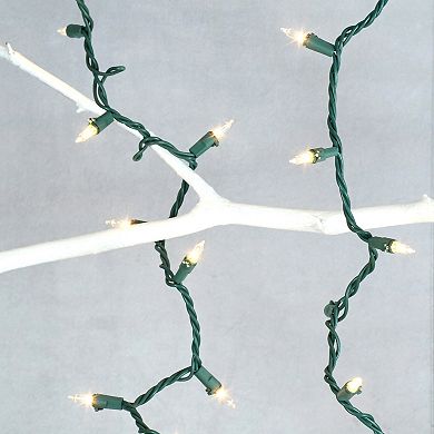 LumaBase 2-pk. Mini Clear String Christmas Lights - Indoor and Outdoor