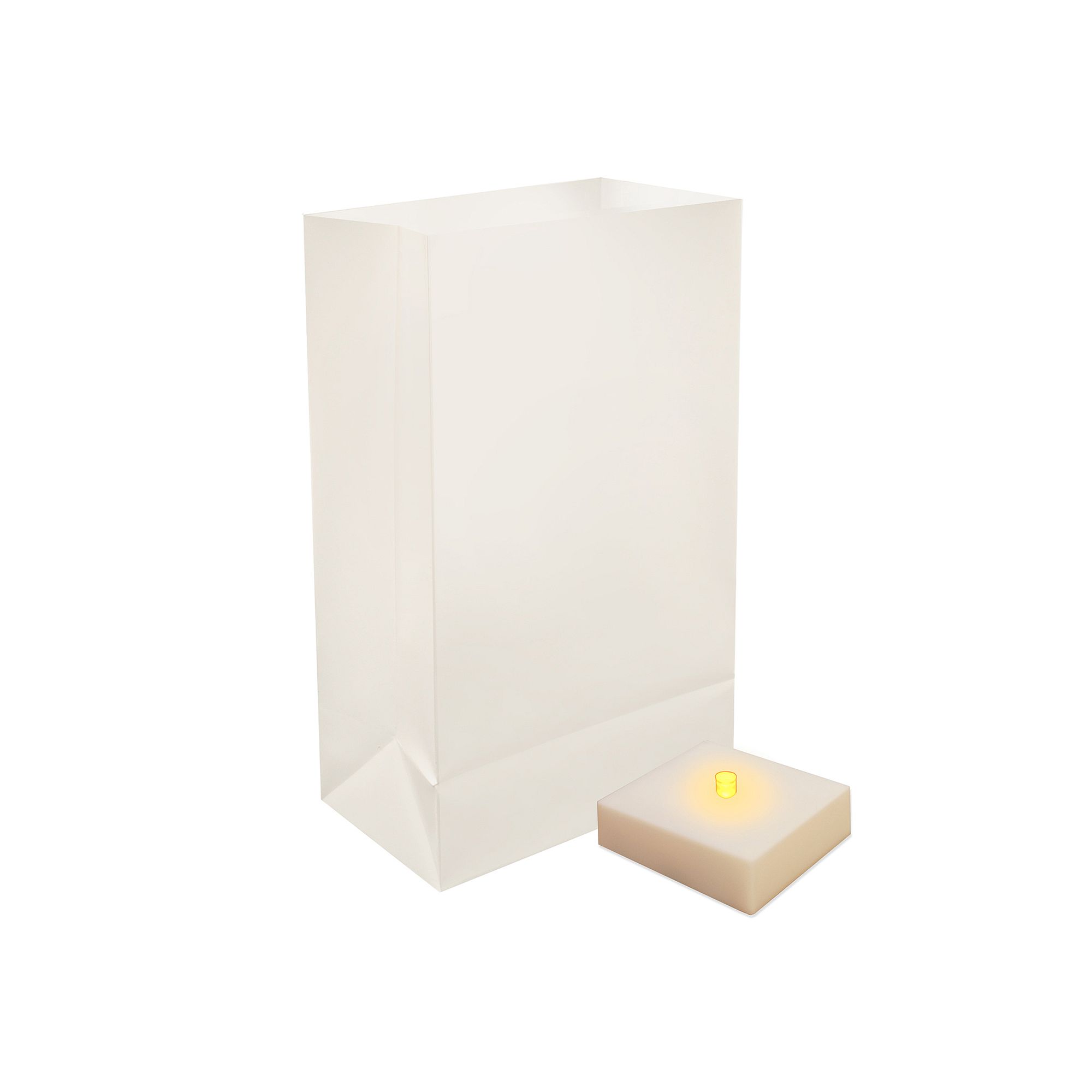 LumaBase Indoor / Outdoor Timer LumaLite & Luminaria Bag 6-piece Set, White