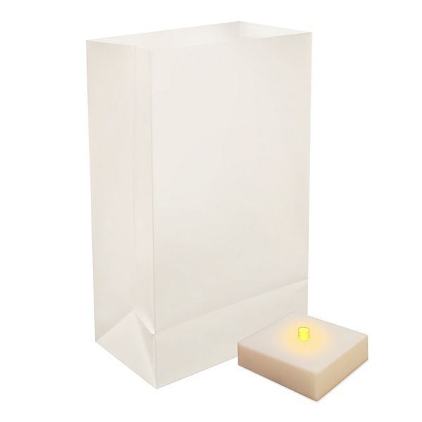 LumaBase Indoor / Outdoor Timer LumaLite & Luminaria Bag 6piece Set