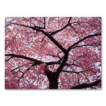 "Cherry Tree" 18" x 24" Canvas Wall Art by CATeyes