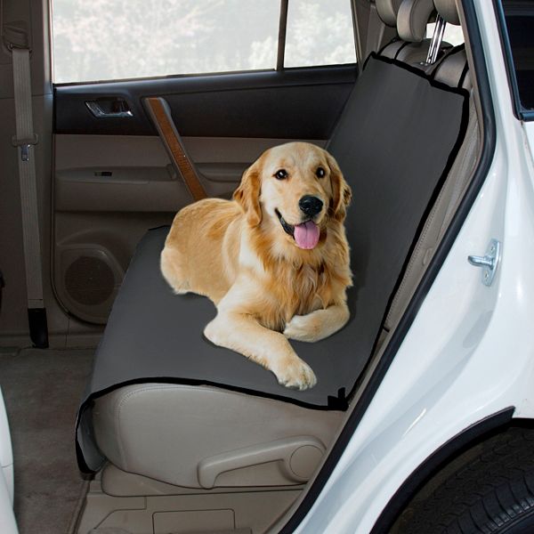 The 8 Best Dog Seat Covers of 2022
