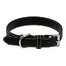 Royce Leather Perry Street Dog Collar - Small