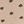 Eve Blush Dot