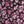 Pink Ditsy Print