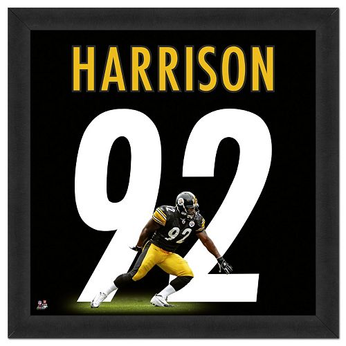 Pittsburgh Steelers James Harrison Framed Jersey Photo