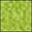 Hot Green