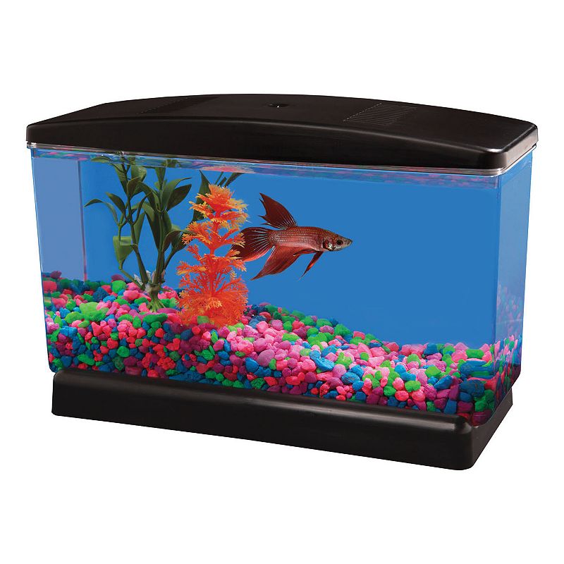 UPC 049146014281 product image for Aquarius BettaView .5-gal. Aquarium, Multicolor | upcitemdb.com