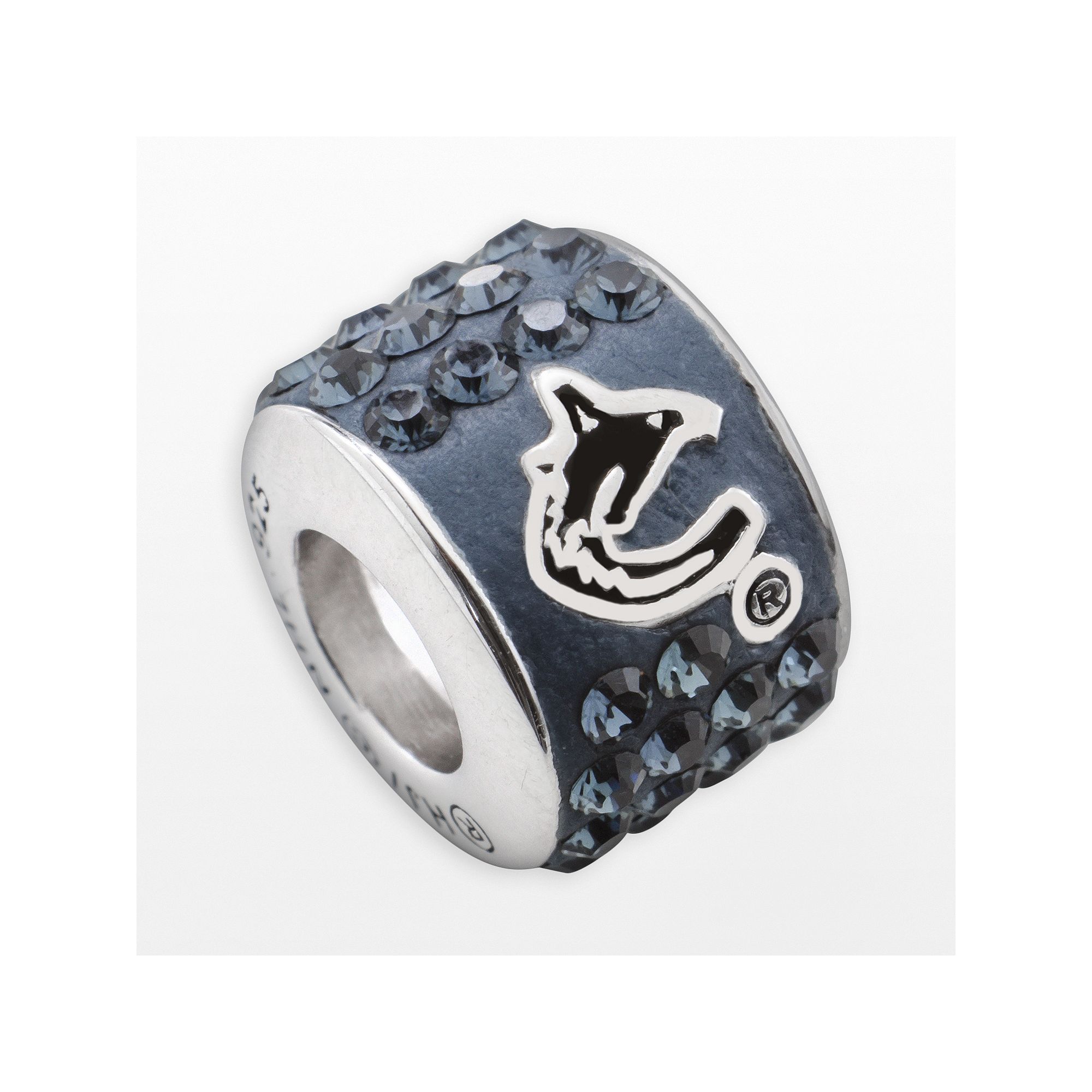 LogoArt Vancouver Canucks Sterling Silver Crystal Logo Bead, Womens, Blue