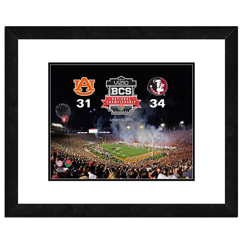 Florida State Seminoles 2013 BCS National Champions 18 x 22 Framed Photo