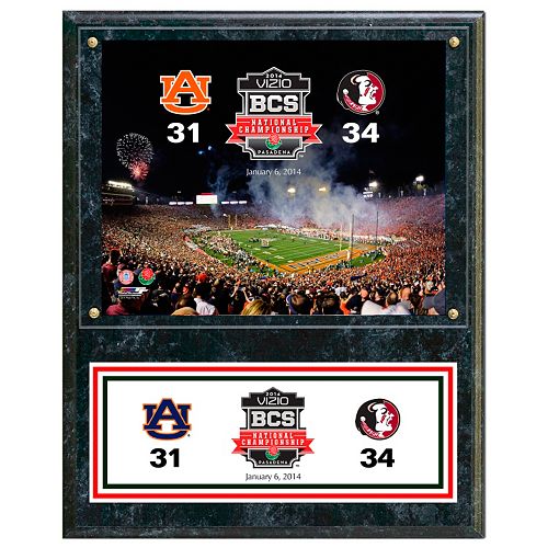 Florida State Seminoles 2013 BCS National Champions 12 x 15 Plaque