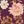 Floral Thicket