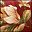 Roma Floral