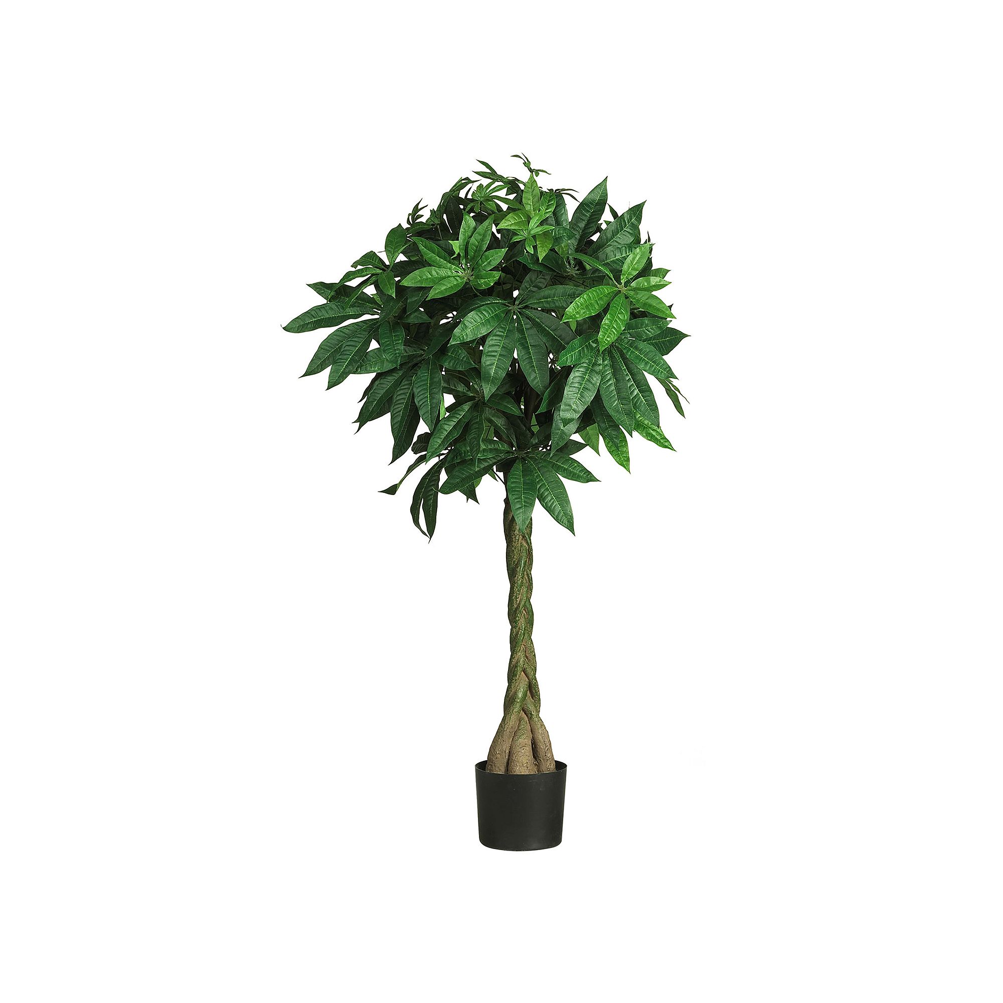 nearly natural 4 1/4-ft. Braided Money Tree, Green