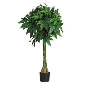 nearly natural 4 1/4-ft. Braided Money Tree