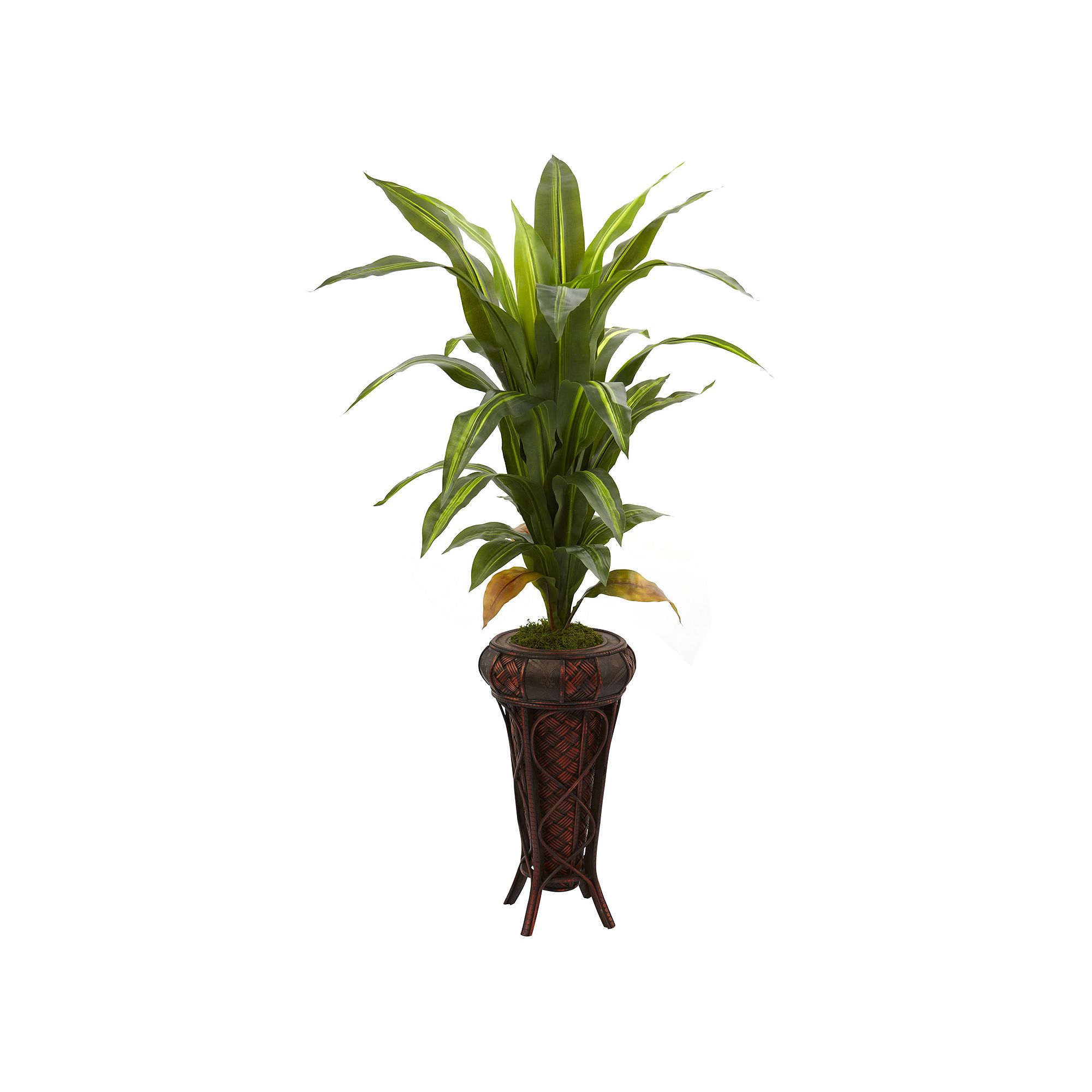 nearly natural Dracaena Plant, Green