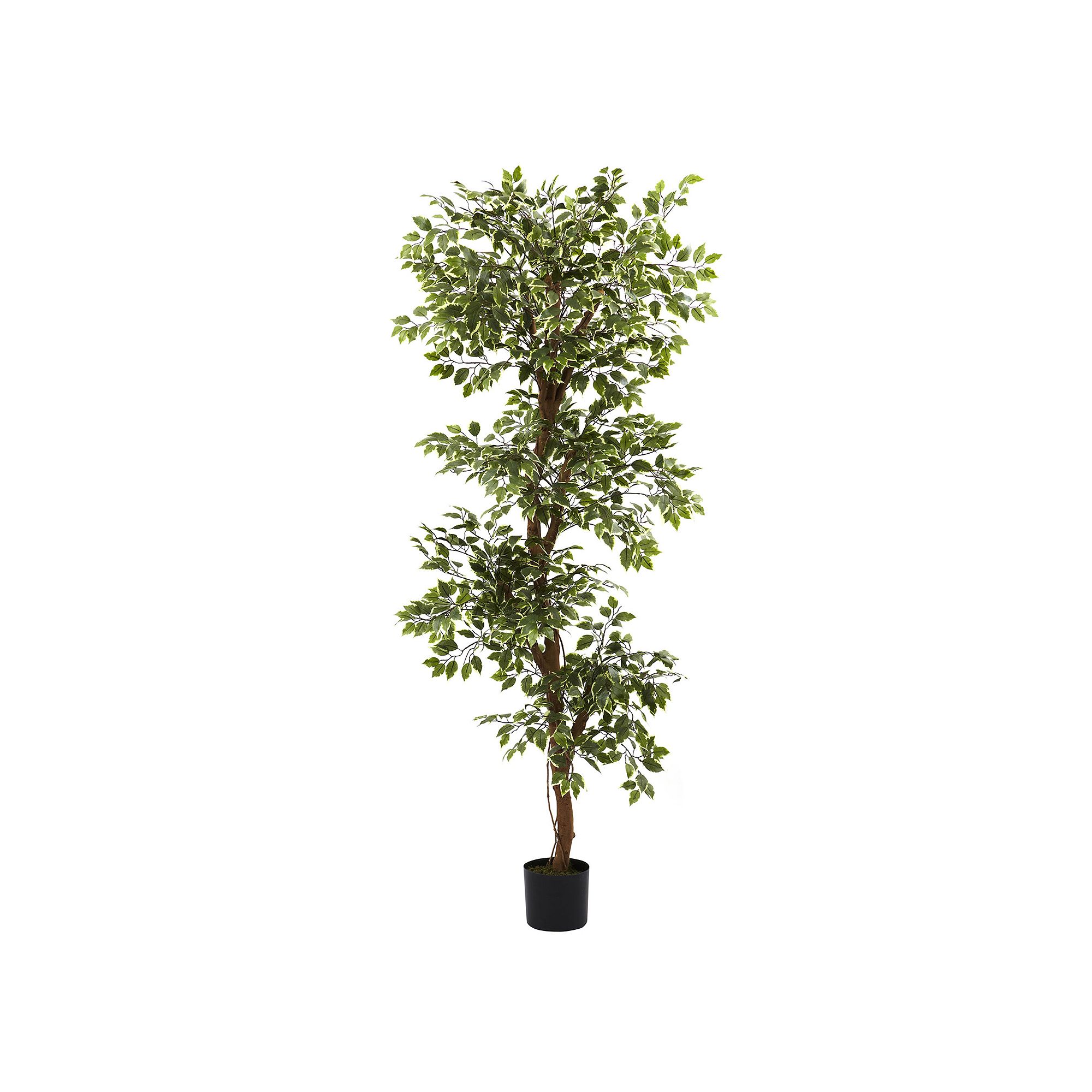 nearly natural 6-ft. Variegated Ficus Tree, Green