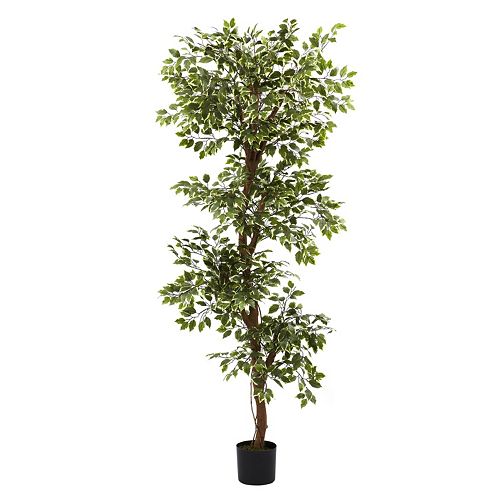 nearly natural 6-ft. Variegated Ficus Tree