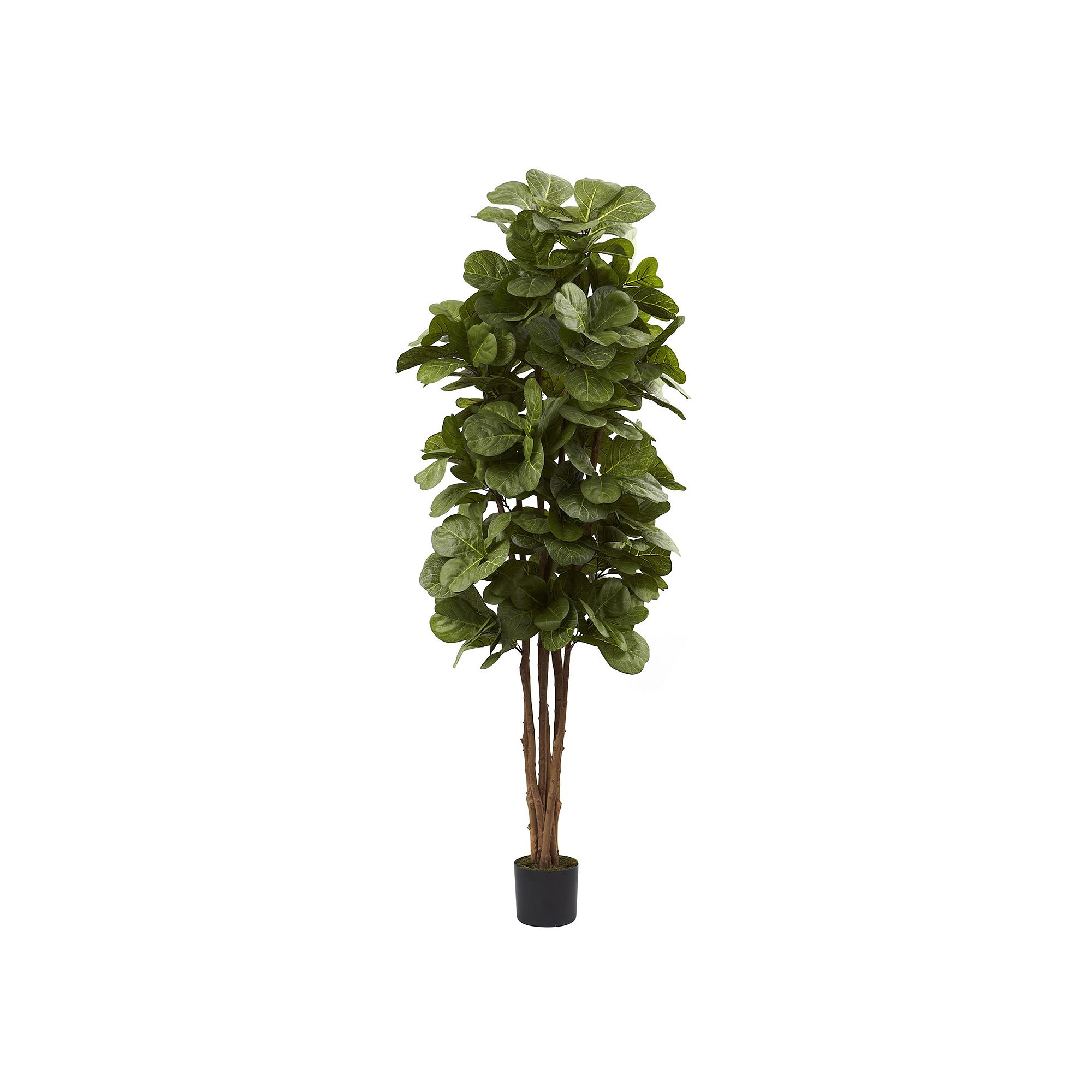 nearly natural 6-ft. Fiddle Leaf Fig Tree, Green