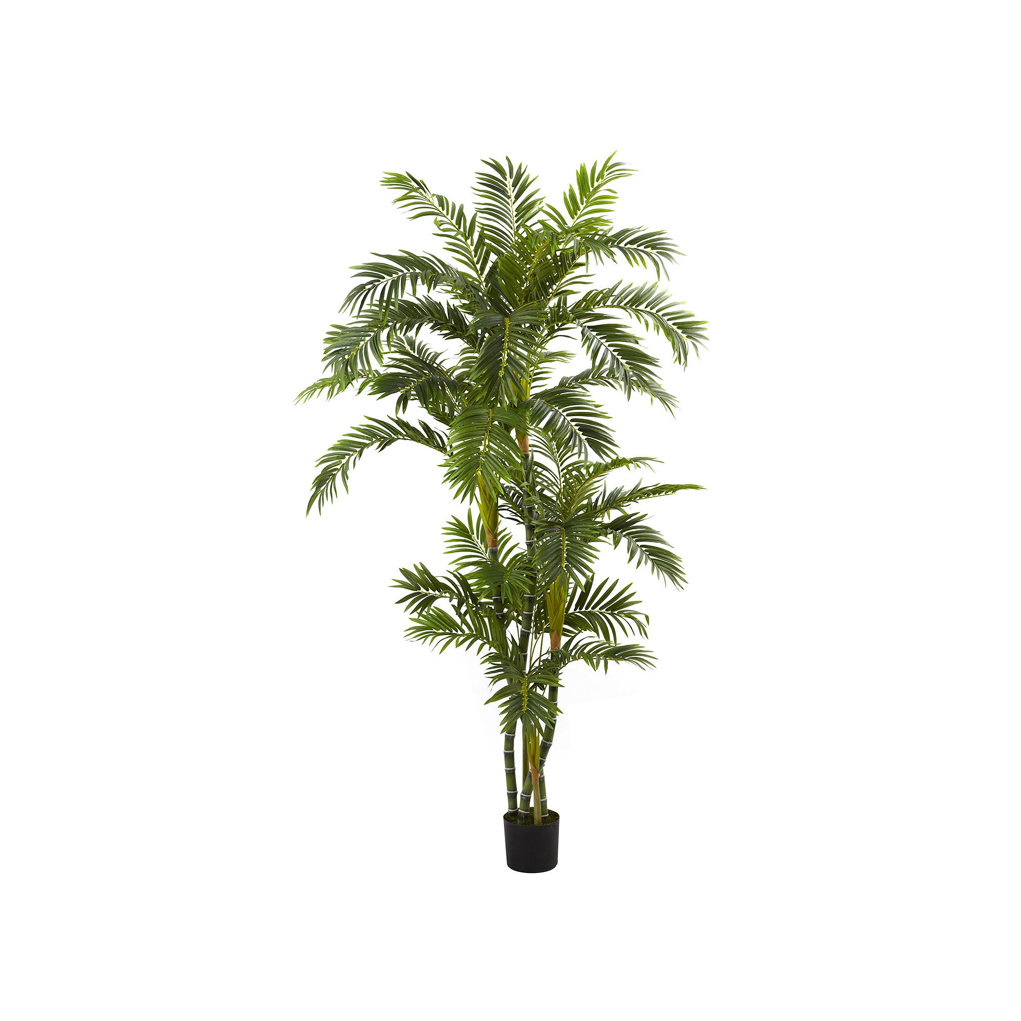 nearly natural 6-ft. Curved Parlor Palm Tree, Green