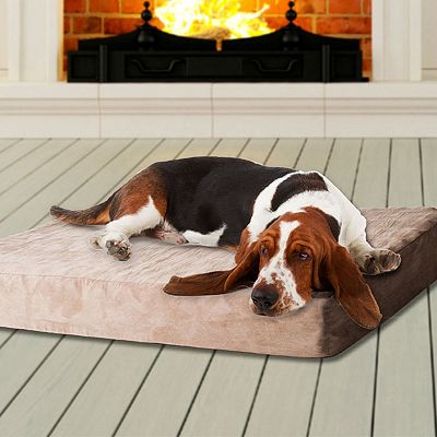 Paw Memory Foam Dog Bed with Removable Cover Medium