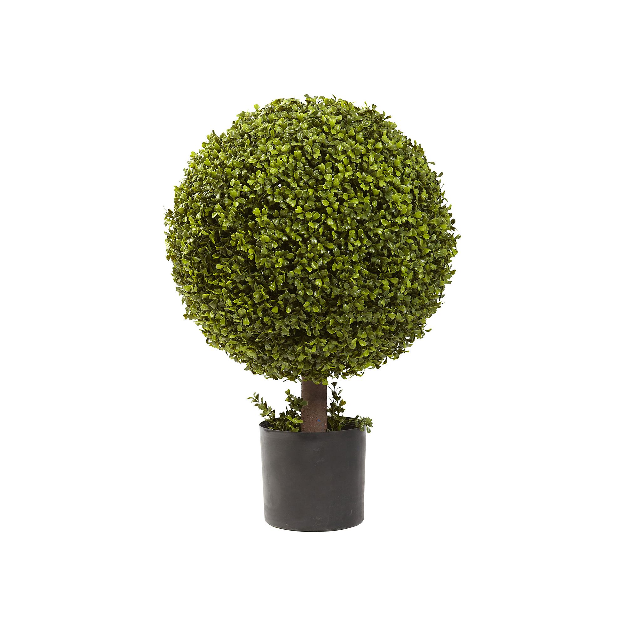 nearly natural Boxwood Topiary, Green