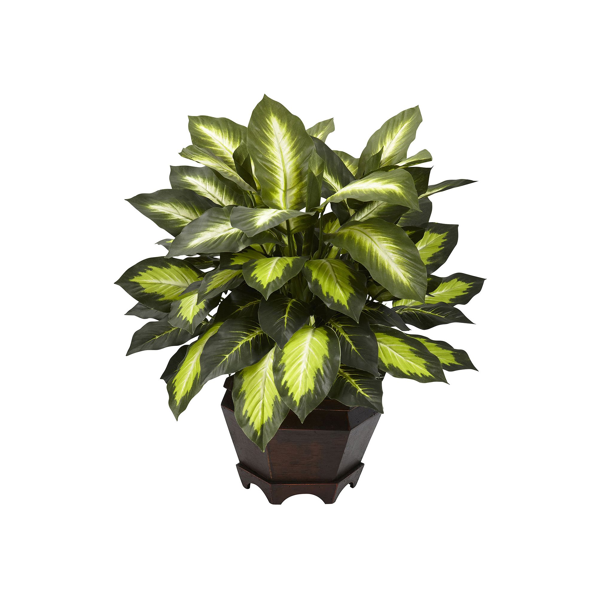 nearly natural Triple Golden Dieffenbachia Plant, Green