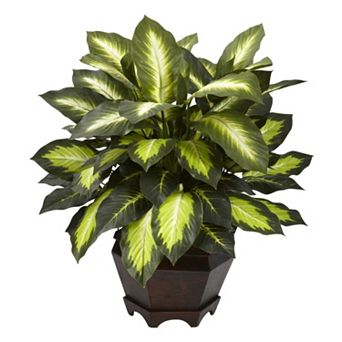 nearly natural Triple Golden Dieffenbachia Plant